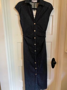 Zara Blue Denim Button-Front Midi Dress